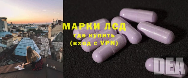 хмурый Пересвет
