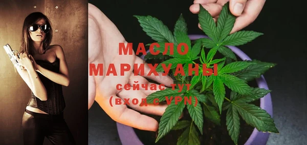хмурый Пересвет