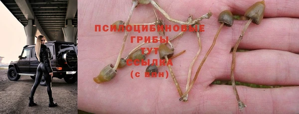 МДМА Переславль-Залесский
