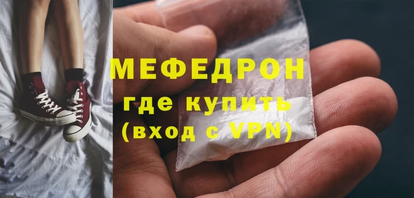 хмурый Пересвет