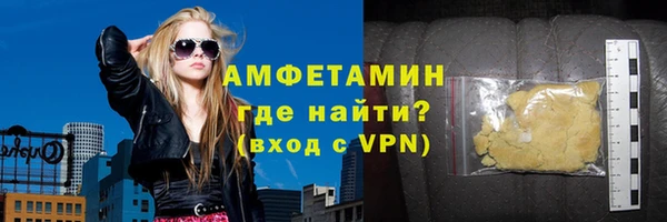 хмурый Пересвет