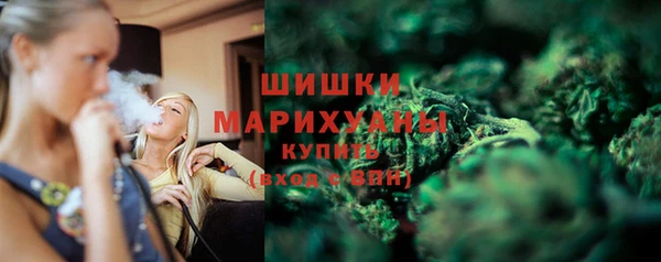 хмурый Пересвет