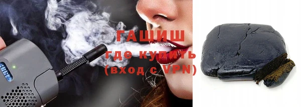 хмурый Пересвет