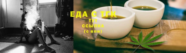 хмурый Пересвет