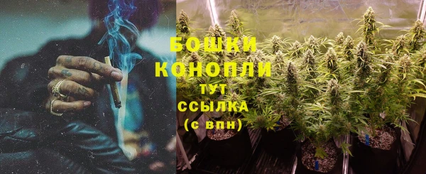 хмурый Пересвет