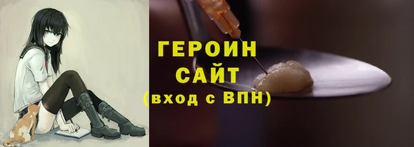 хмурый Пересвет