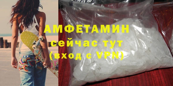 хмурый Пересвет
