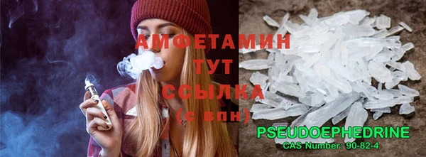 мдпв Тавда
